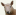 sheepshow.org