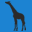 giraffeprint.co.uk