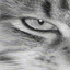 luxcats.eu