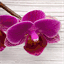 drmaliajoiner.com