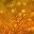 pathsoflife.wordpress.com