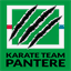 karateteampantere.it