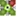 newman.hosted.panopto.com