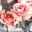 joliemoiblog.wordpress.com