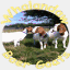 whalandawboergoats.com