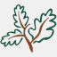 pascalcapital.com