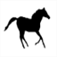 yellowstonehorse.com