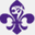 dmost.scout.or.kr
