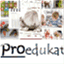 proedukat.wordpress.com