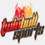 pandasportltd.com
