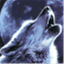 chechenwolf.wordpress.com