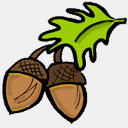 acorngalleryidyllwild.com