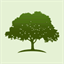 positivepath.com