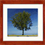 jollence-gallery.blogspot.com
