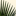 realornamentals.com