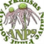 anps.org