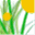 wzjunran.com