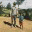 sullivanjoco.wordpress.com