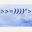 bitfish.info