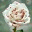 avathy.wordpress.com