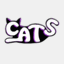 care4strays.org