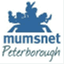 mumsnetpeterborough.wordpress.com
