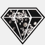 diamondsrwild.net