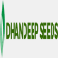 dhandeepseeds.com