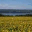 liveonthelake.wordpress.com