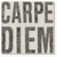 projectcarpediem.net