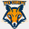 fox-gaming.com