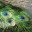 structuralcolour.org