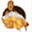 magicbaits.co.za