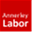 annerleylabor.org