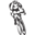 incajungletrail.com
