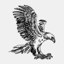 eaglewinglabs.com
