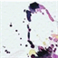 nydesignsstudio.com