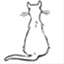 swecat.com