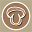 pleurotus.unpocodetodo.info