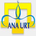 shop.anaurt.com
