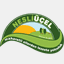 nesliucel.com
