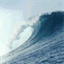 surfnc.over-blog.com