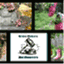 retropickers.wordpress.com