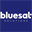 bluesat.com