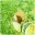 movingwithmilo.wordpress.com