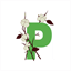 planetwebgroup.com