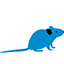 blaumaus.ch