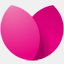 tulipan.pl