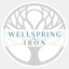 wellspringiron.com