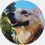 ccanimation.com